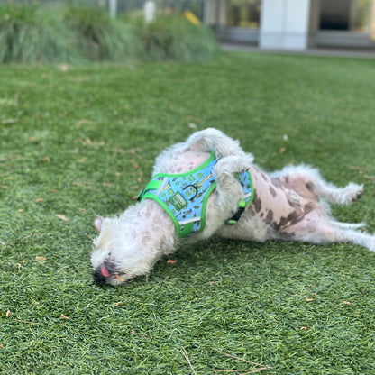 Lucy & Co. x Parks Project Feel the Earth Breathe No-Pull Harness