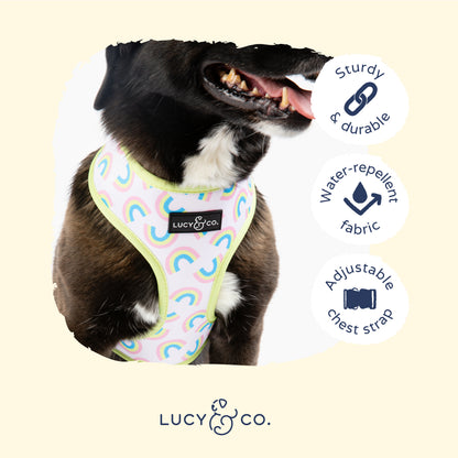 Making Rainbows Reversible Harness