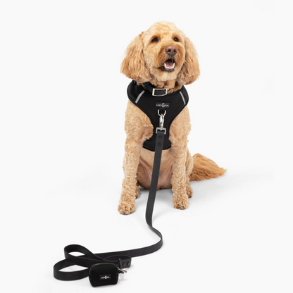 Midnight Waterproof PVC Leash