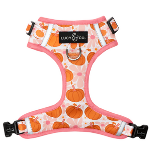 Sugar & Pumpkin Spice No-Pull Harness