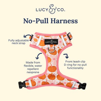 Sugar & Pumpkin Spice No-Pull Harness