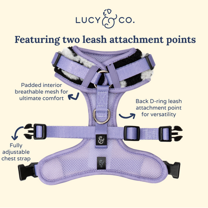 Far Out No-Pull Harness