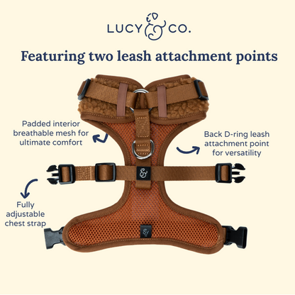 Cinnamon Teddy No-Pull Harness