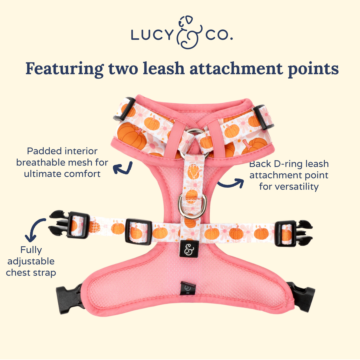 Sugar & Pumpkin Spice No-Pull Harness