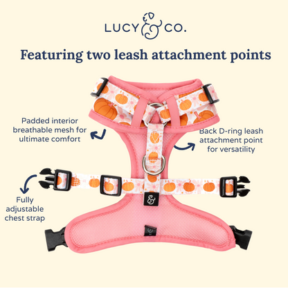 Sugar & Pumpkin Spice No-Pull Harness