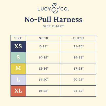 Cinnamon Teddy No-Pull Harness