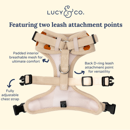 Oh My Gourd Corduroy No-Pull Harness