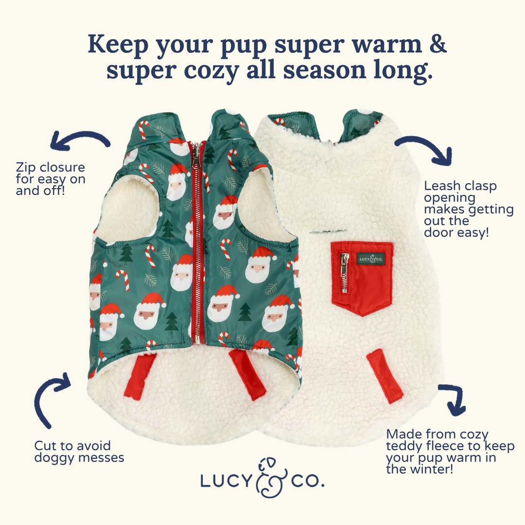 Santa Land Reversible Teddy Vest