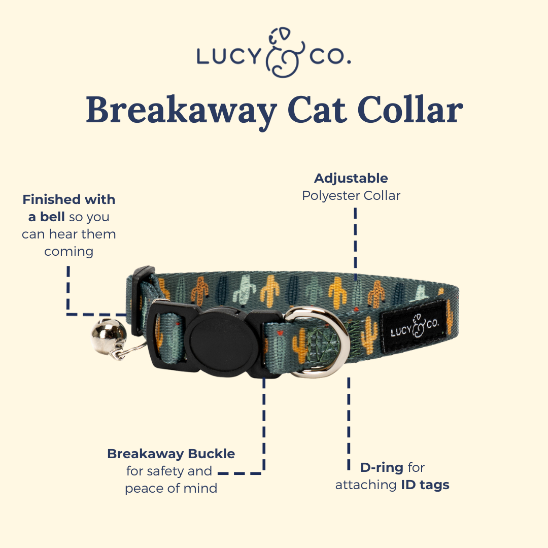 Looking Sharp Breakaway Cat Collar