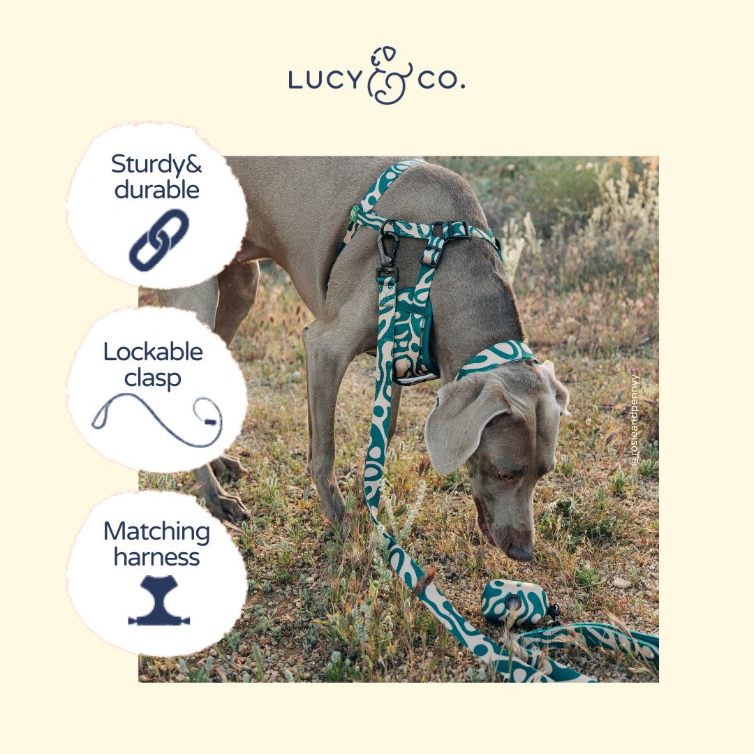 Lucy & Co. x Parks Project Geyser Leash