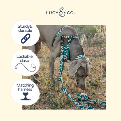 Lucy & Co. x Parks Project Geyser Leash