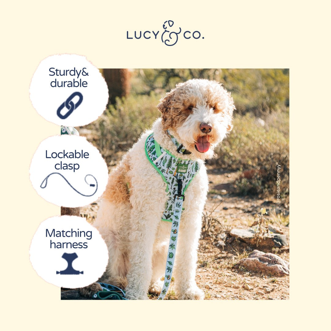 Lucy & Co. x Parks Project Feel the Earth Breathe Leash