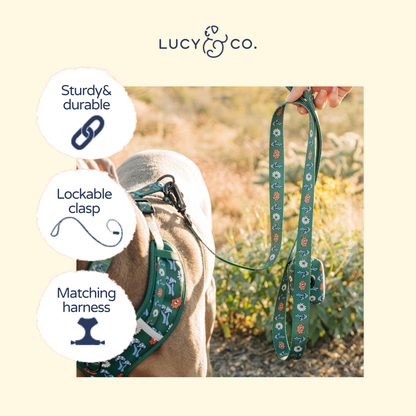 Power to the Parks Leash