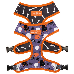 Boo Thang Reversible Harness