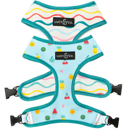 The Cutie Fruity Reversible Harness
