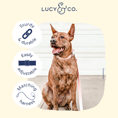 Rosewater Waterproof PVC Collar