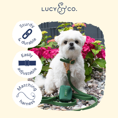Pine Waterproof PVC Collar