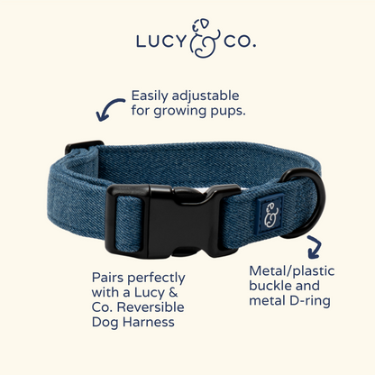 Blue Jeans Collar