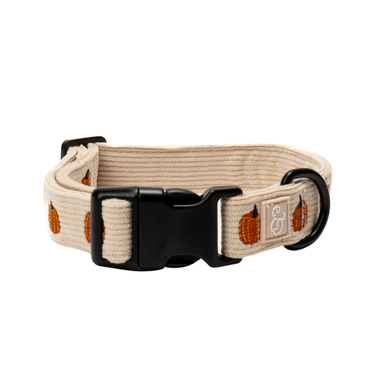 Oh My Gourd Corduroy Collar