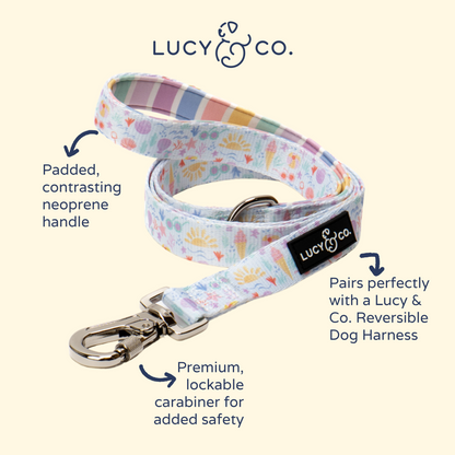 Life's a Beach Leash