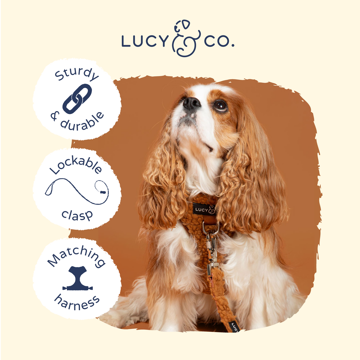 Cinnamon Teddy Leash