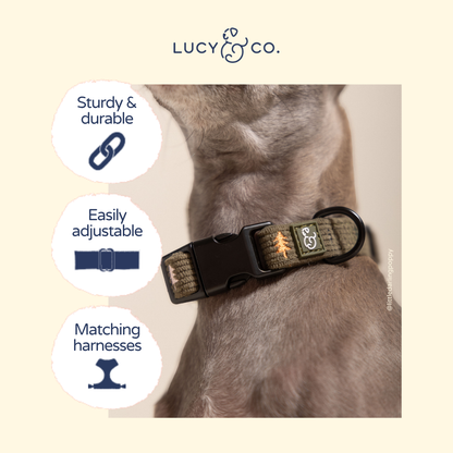 Take a Hike Corduroy Collar
