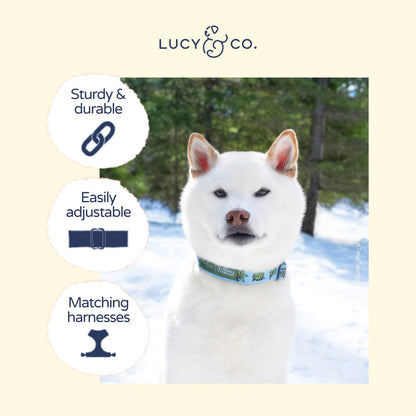 Lucy & Co. x Parks Project Feel the Earth Breathe Collar