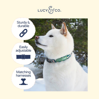 Lucy & Co. x Parks Project Geyser Collar