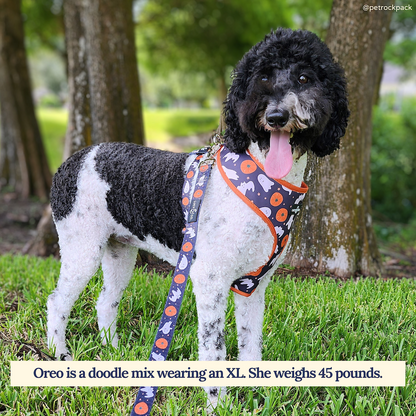 Happy Haunting Reversible Harness