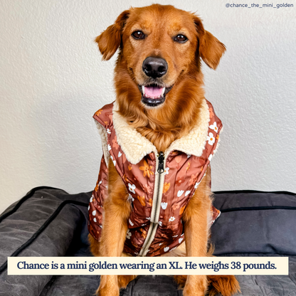 Chocolate Meadows Reversible Teddy Vest