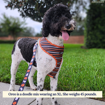 Happy Haunting Reversible Harness