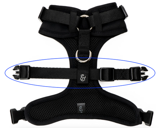 No-Pull Harness Replacement Strap (Black)