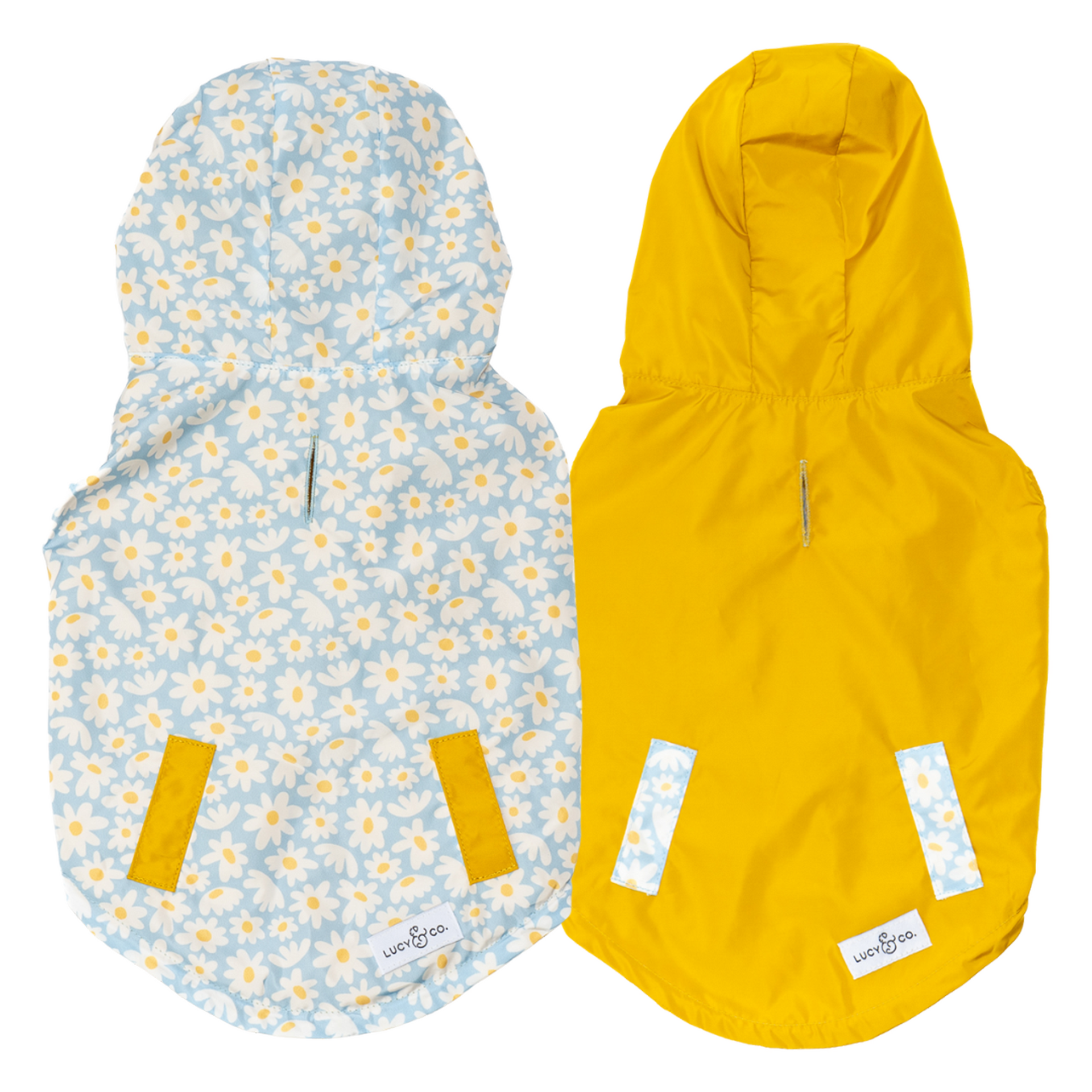 SimplySplendid1.png?v=