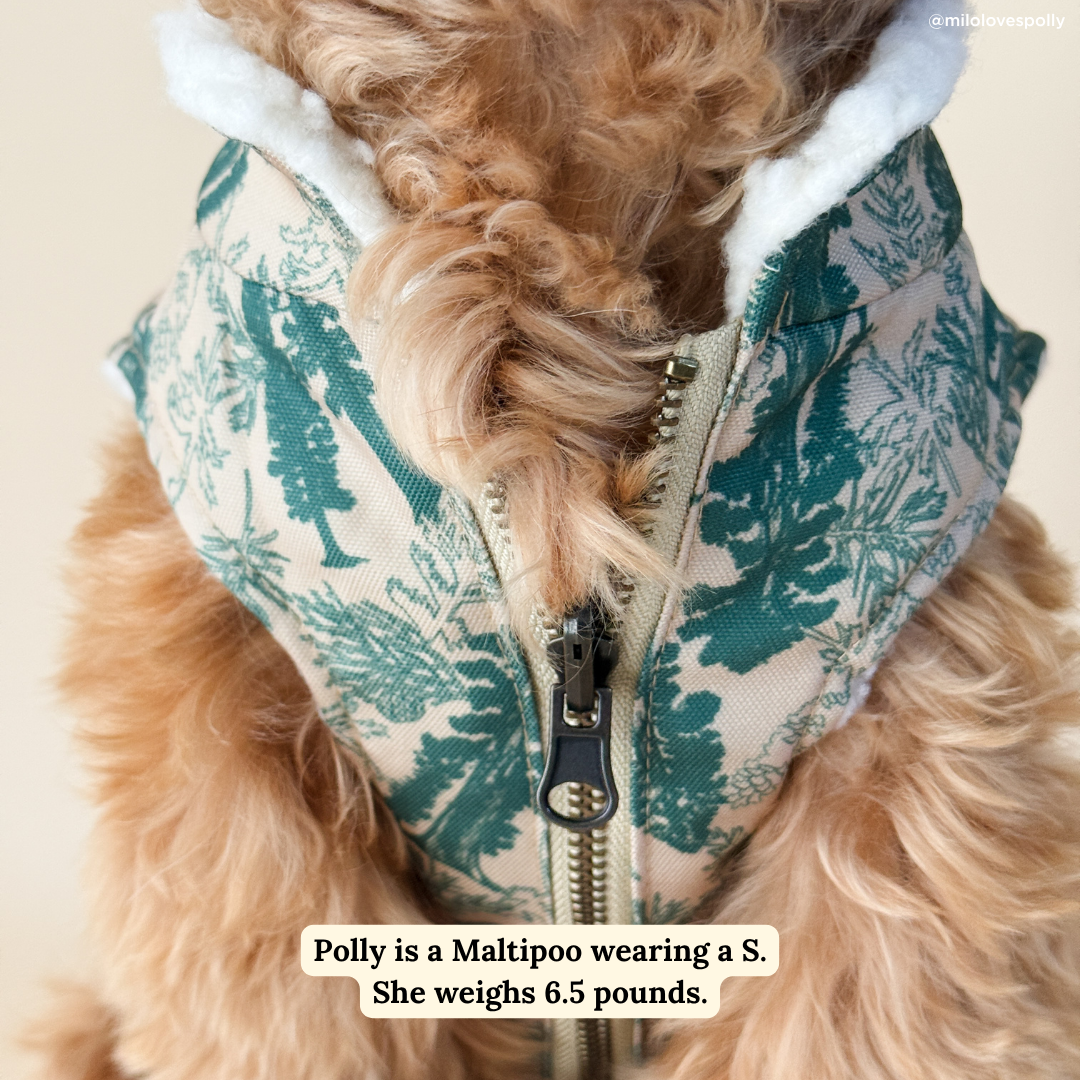 Lucy & Co. x Parks Project Sequoia Seedlings Canvas Vest