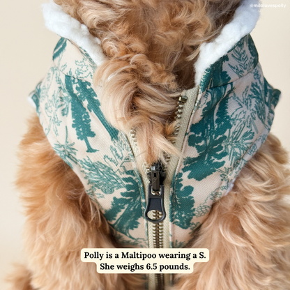 Lucy & Co. x Parks Project Sequoia Seedlings Canvas Vest