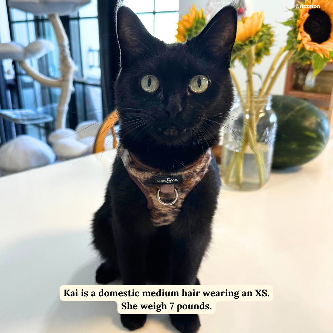 Wild Side Fleece Step-in Cat Harness