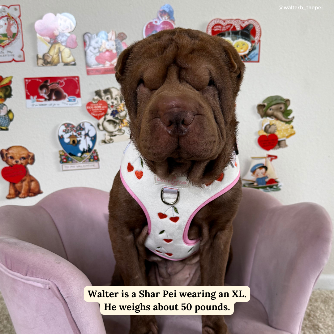 Cherry Cute Velour No-Pull Harness