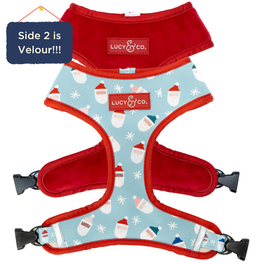 Limited Edition! The Merry & Bright Reversible Harness