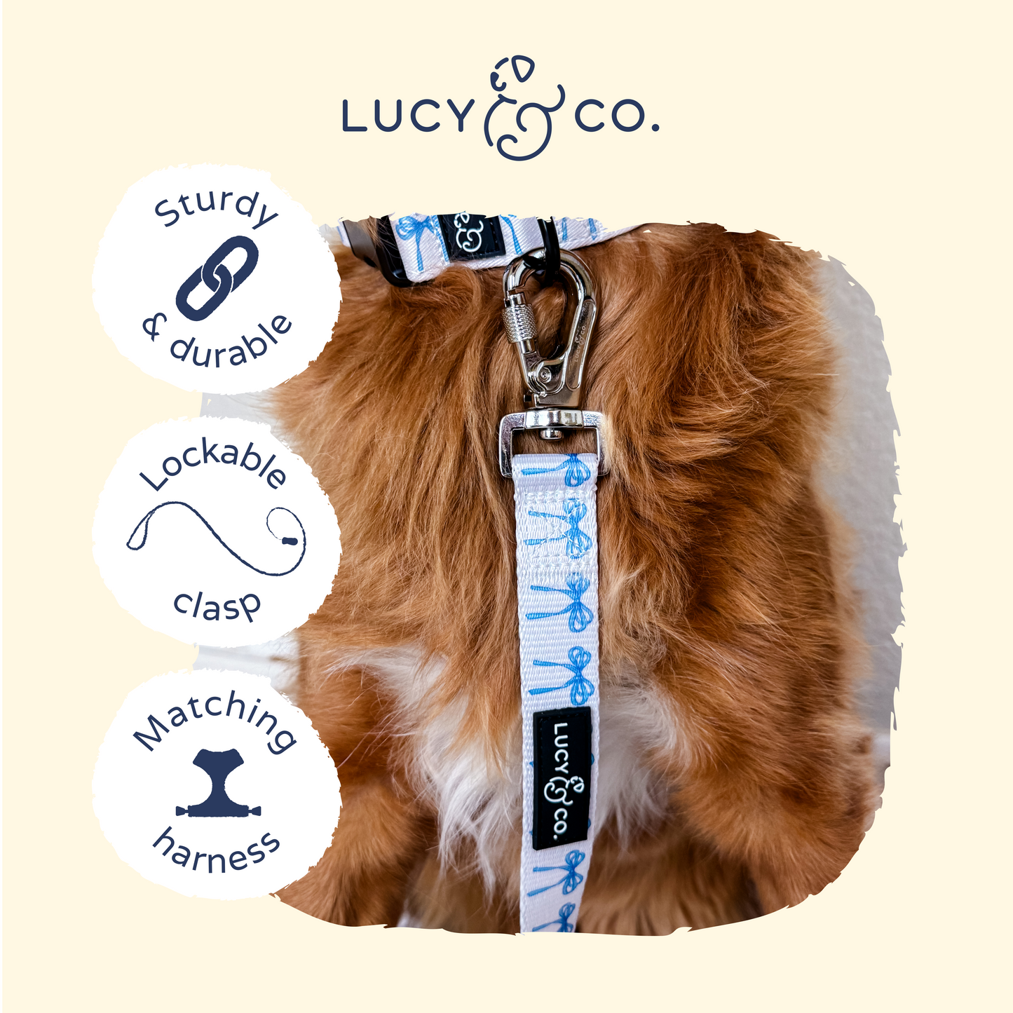 Bowwow Wow! Leash
