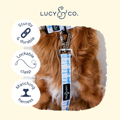 Bowwow Wow! Leash