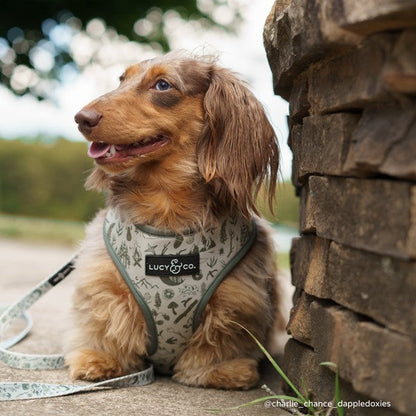 Camp Out Reversible Harness