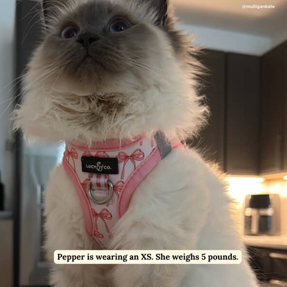 Take a Bow Step-in Cat Harness