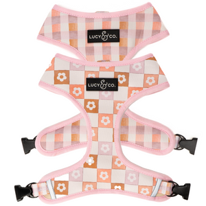 Daisy Delight Reversible Harness