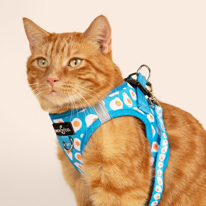Eggcellent Step-in Cat Harness
