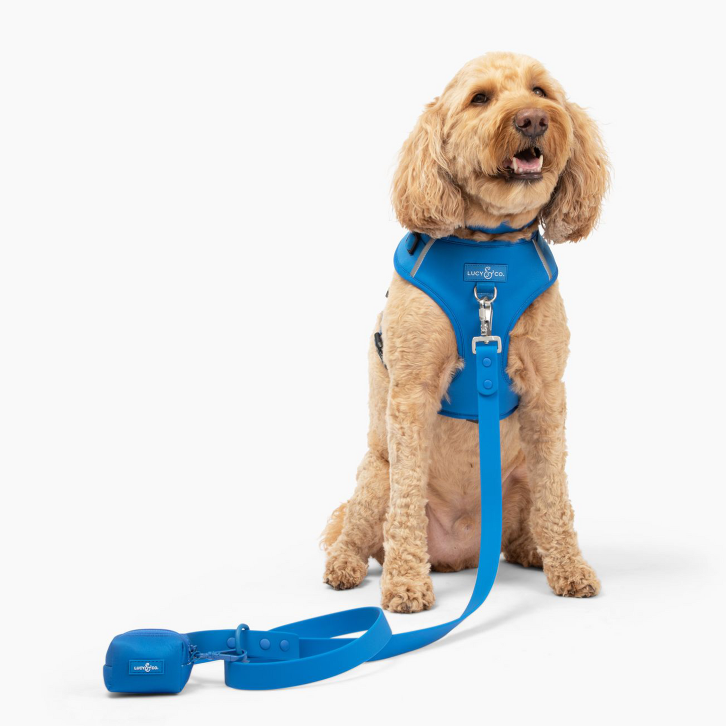 Indie Waterproof PVC Leash