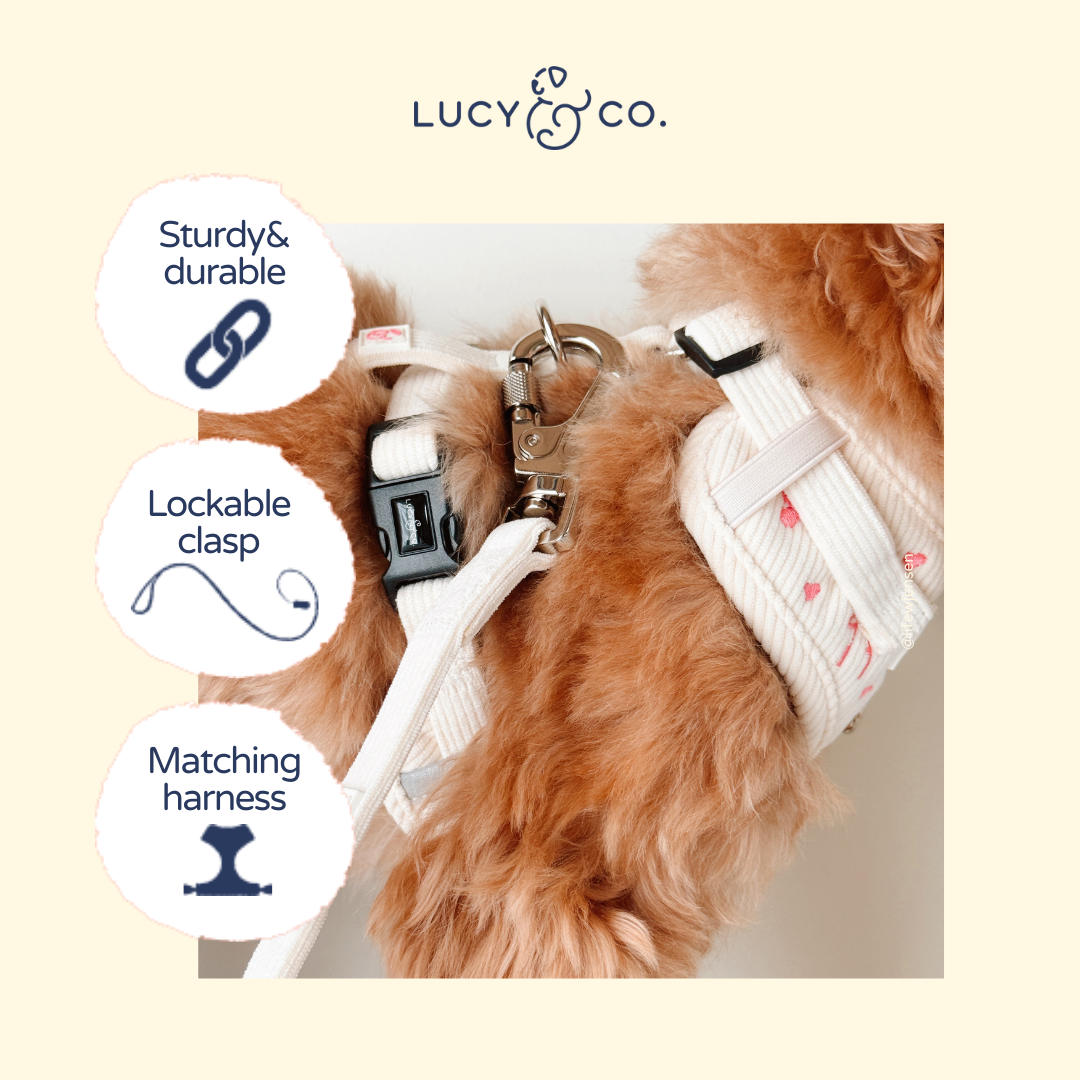 Ivory Corduroy Leash