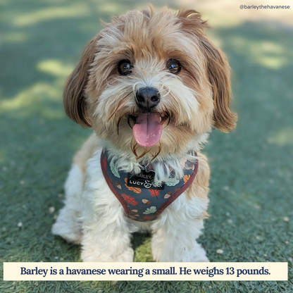 Unbeleafable Reversible Harness