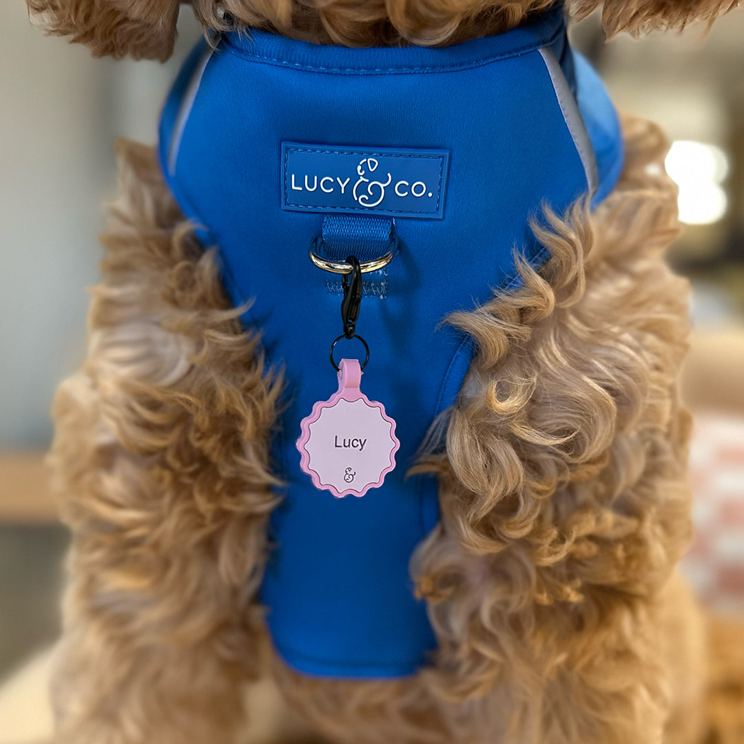 The Silicone Customizable ID Tag Rosewater Lucy Co
