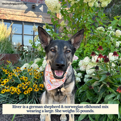 The Daisy Delight Bandana