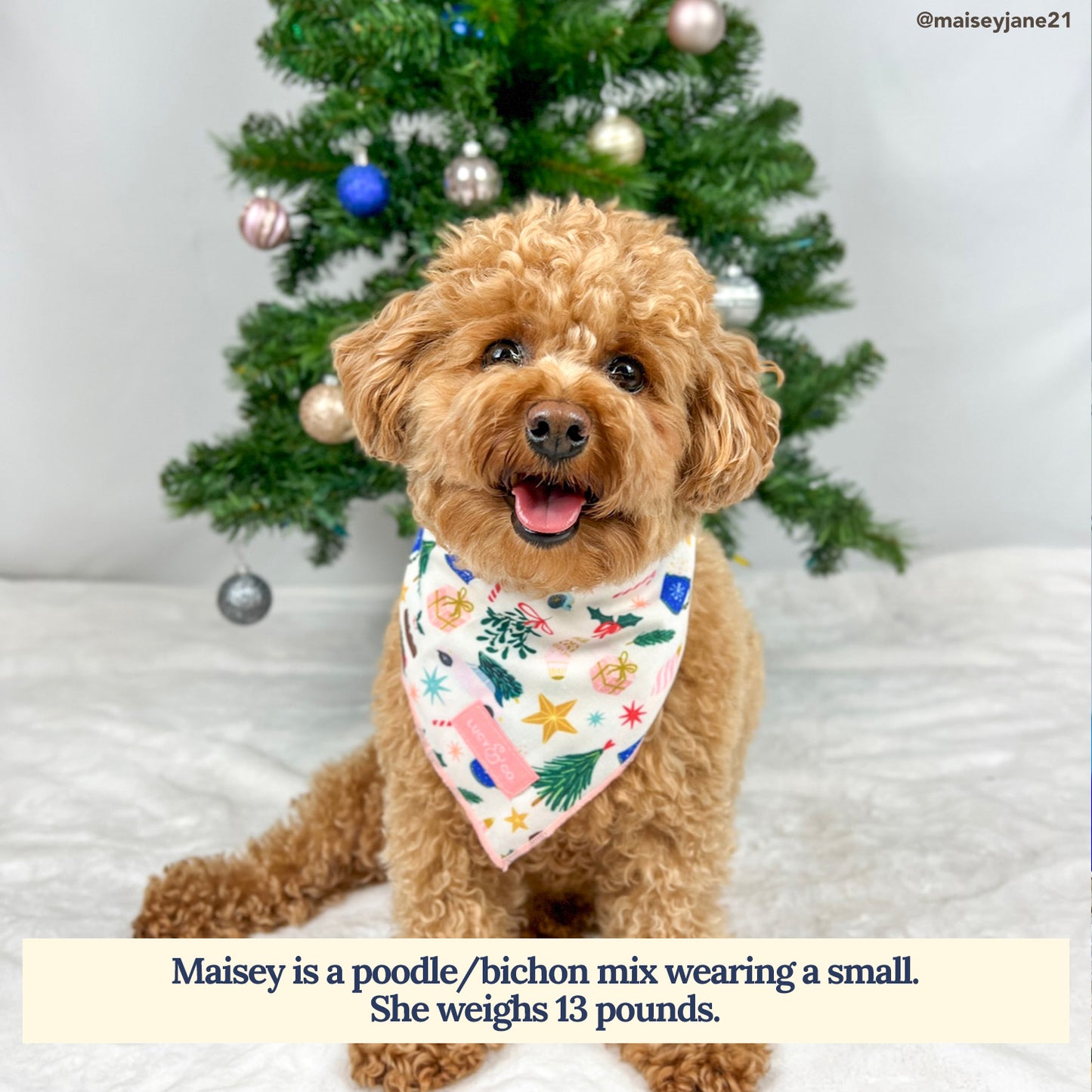 The Mistletiptoeing Around Bandana